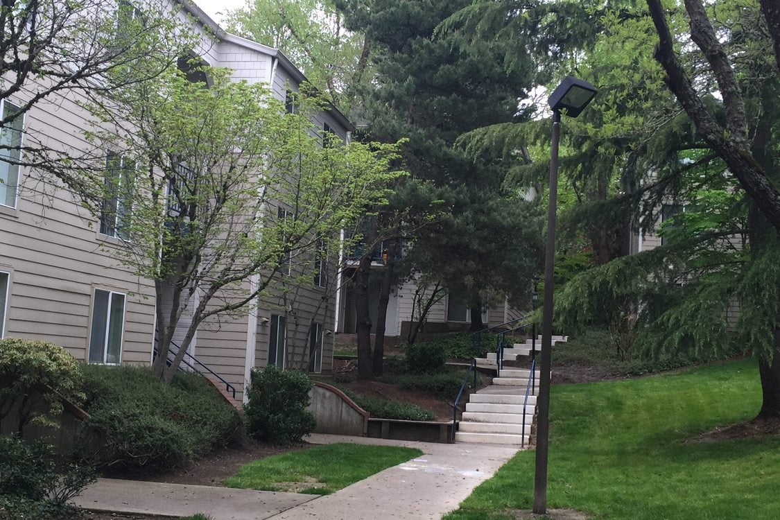 sidewalk in between buildings of apartment complex