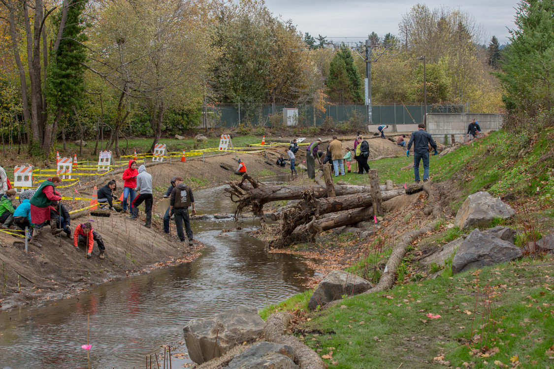 photo of Hall Creek restoration