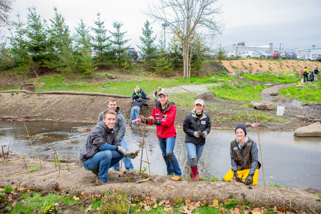 photo of people planting native shrubs