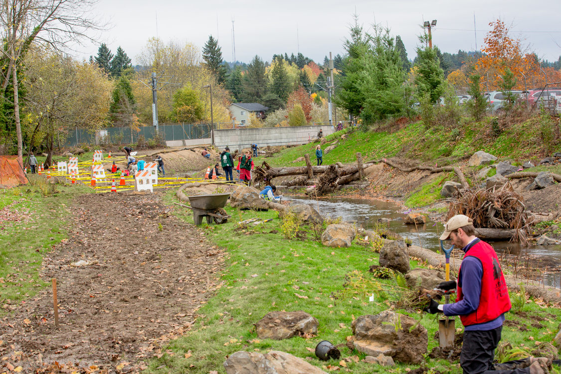 photo of Hall Creek restoration