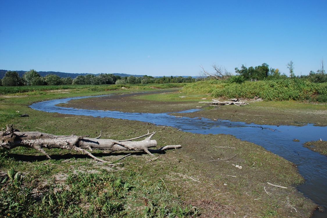 photo of Smith and Bybee Wetlands Natural Area