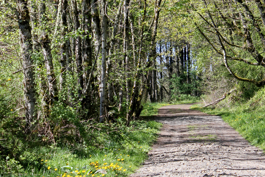 photo of trail at Gabbert Butte