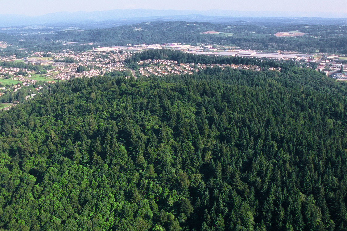 photo of East Buttes