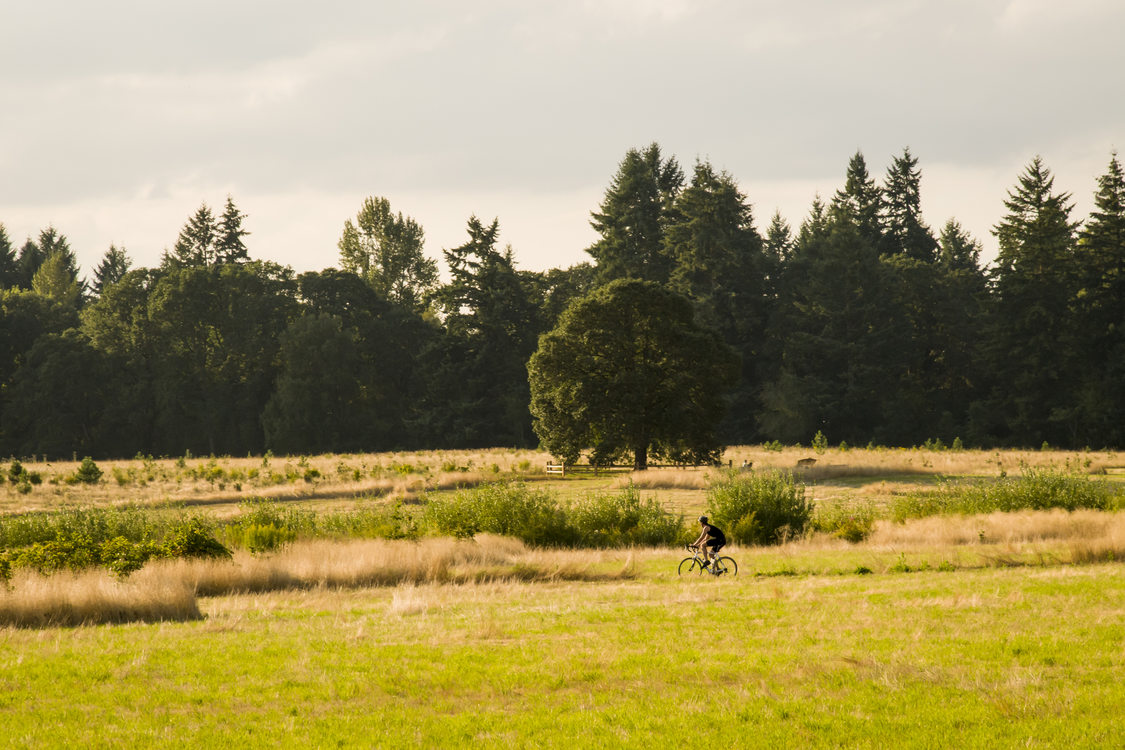 photo of bicyclist at Graham Oaks