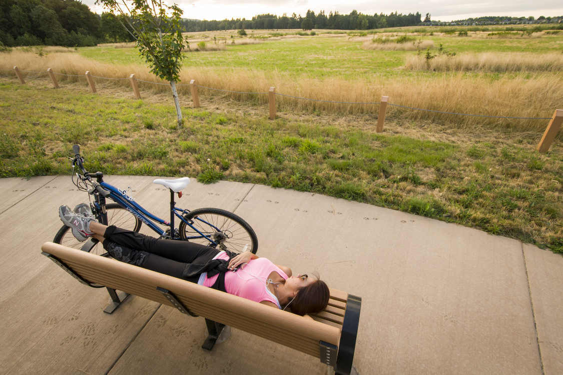 photo of Graham Oaks bench