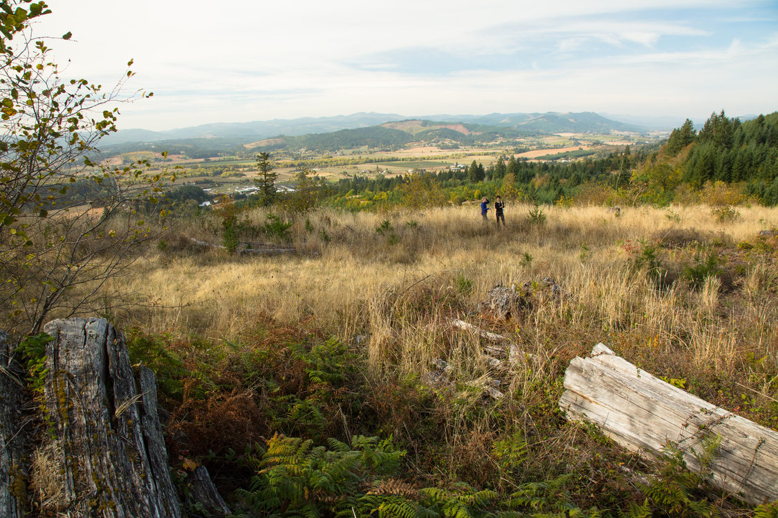 photo of view from Chehalem Ridge