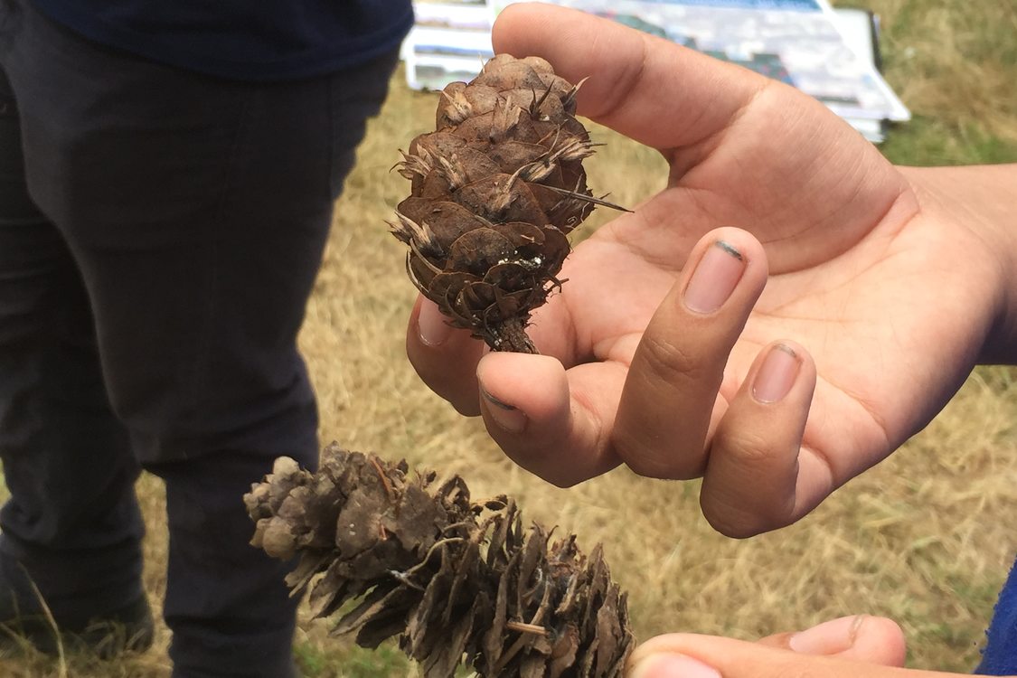 photo of Chehalem Ridge practice tour