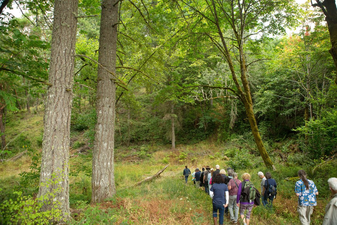 Group of people being led on a tour through Chehalem Ridge Nature Park. The group is shown from behind, walking on a trail through the woods.