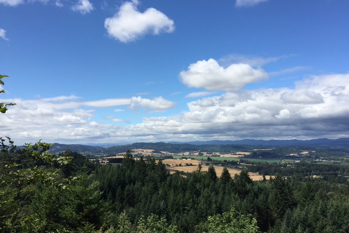 Chehalem Ridge from the southwest view with tall treetops in forefront, leading to farm fields, with rolling mountains in the distance on clear day with fluffy white clouds and blue sky.