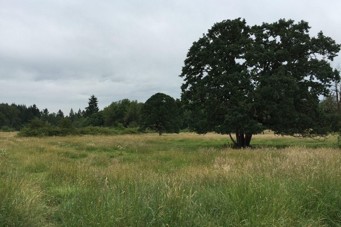 photo of new acquisition at Clear Creek Natural Area