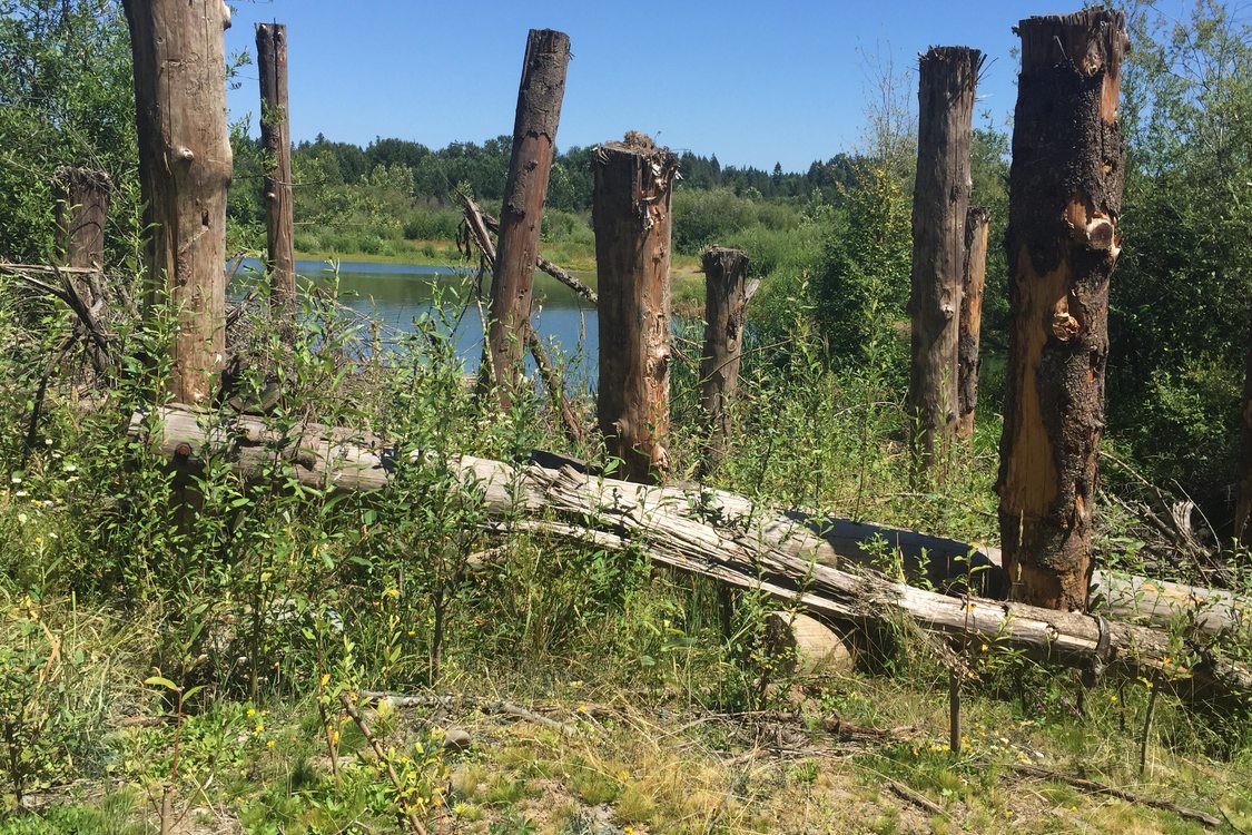 photo of completed logjam at River Island