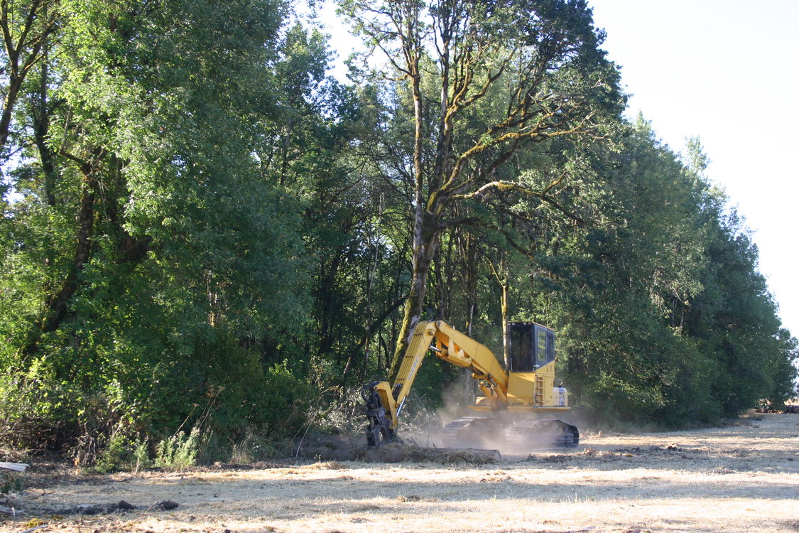 photo of restoration work at Killin Wetlands