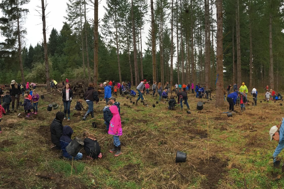 photo of Springwater School volunteers