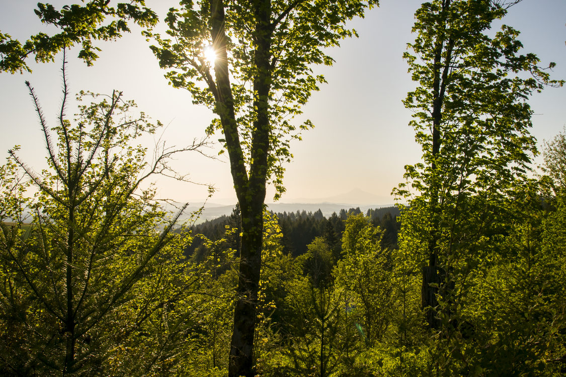 photo of acquisition near Chehalem Ridge