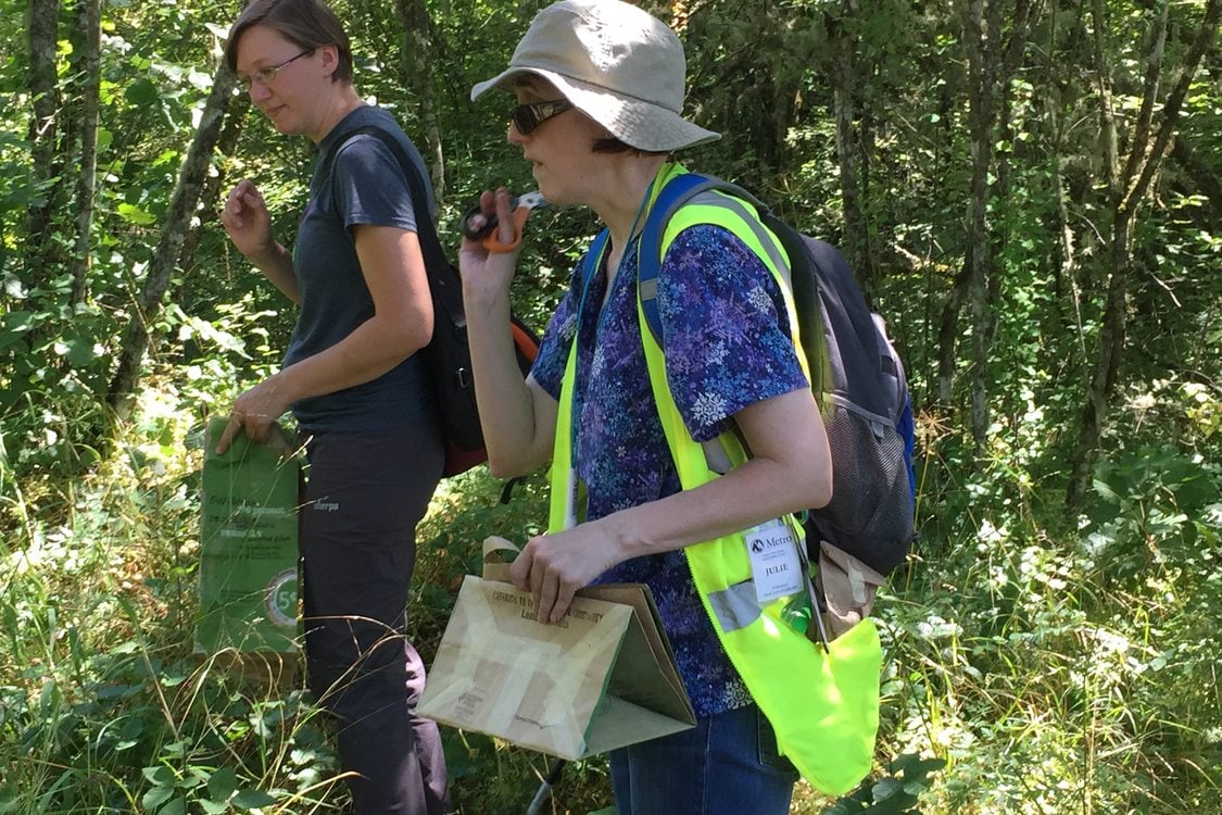 photo of seed collection