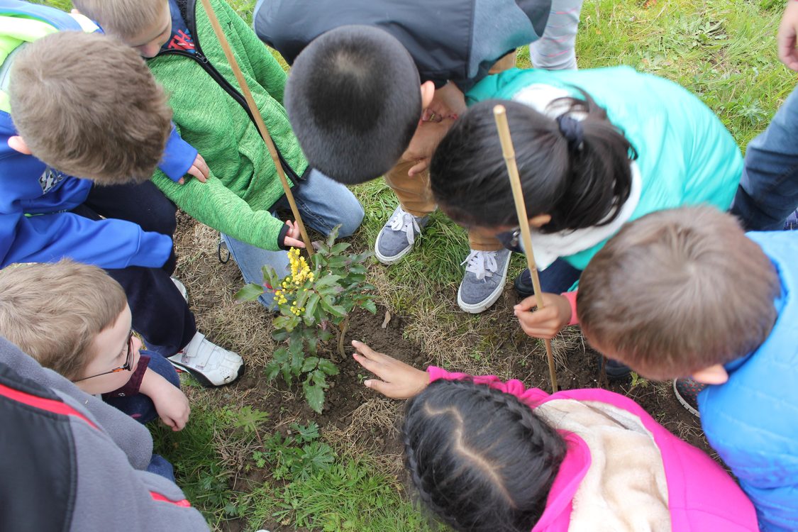 photo of Boones Ferry Primary School students at Graham Oaks Nature Park