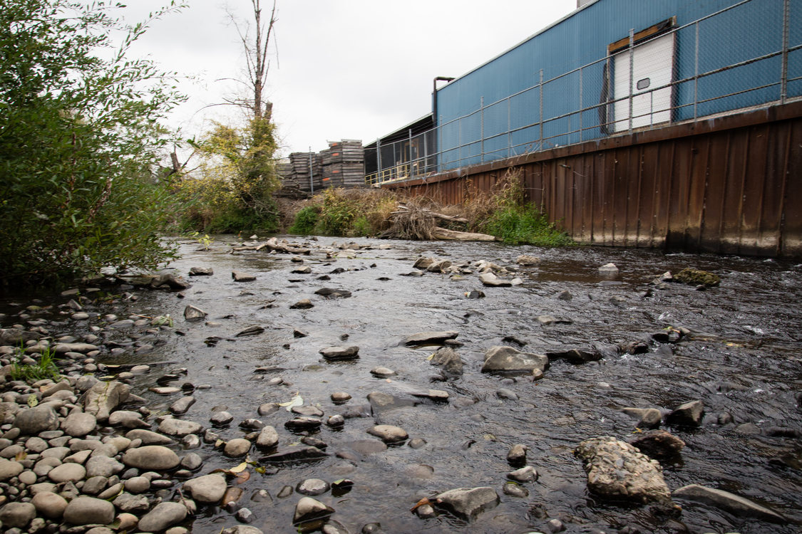 Johnson Creek in North Milwaukie