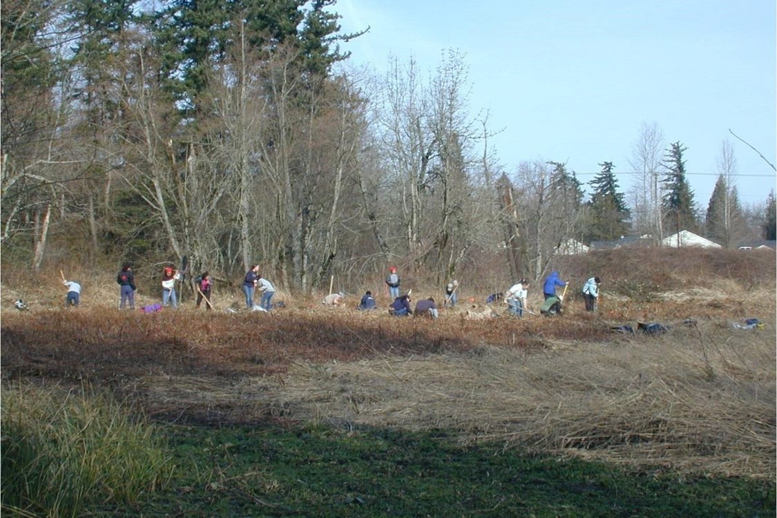 photo of students installing native plants along Beaver Creek
