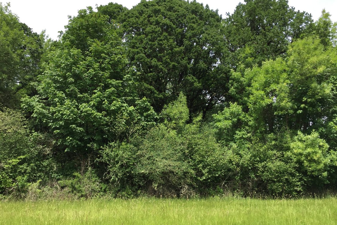 photo of new acquisition along Tualatin River