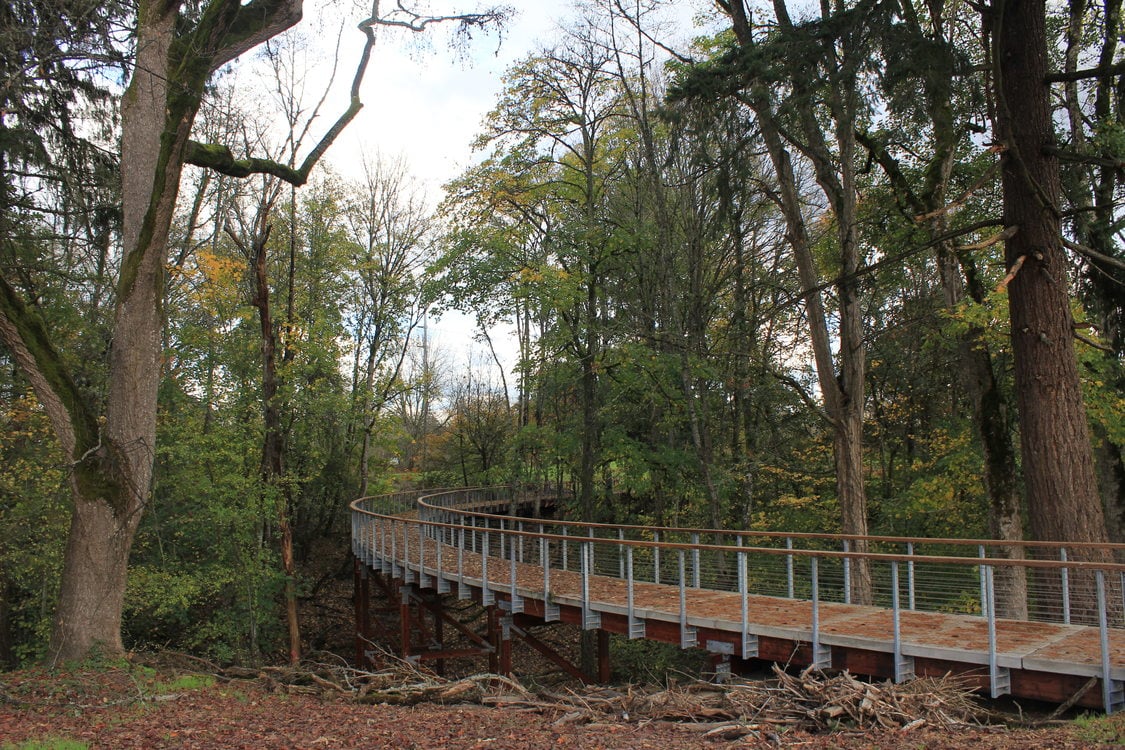 photo of Orenco Woods Nature Park 