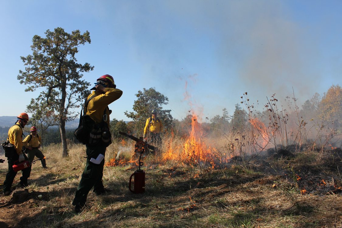 photo of prescribed burn at Cooper Mountain