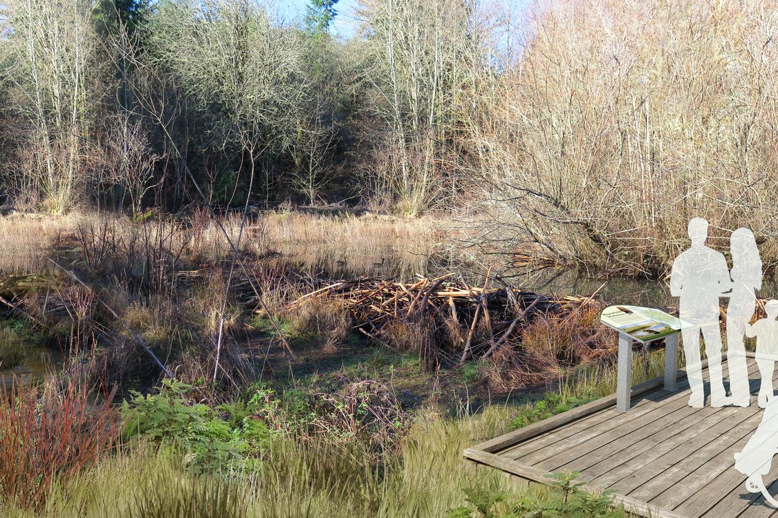 rendering of wetlands overlook at Chehalem Ridge Nature Park