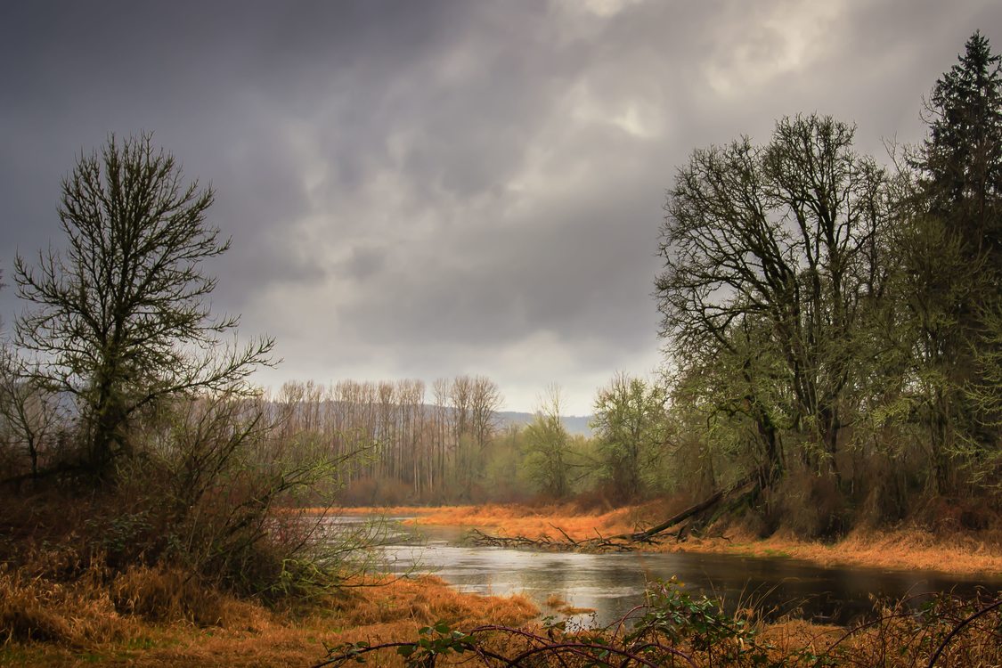 photo of Sauvie Island