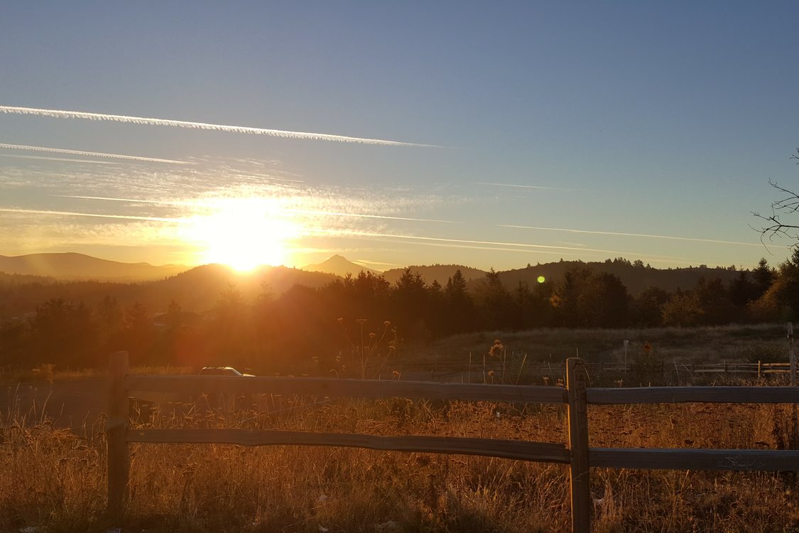 photo of Powell Butte Nature Park