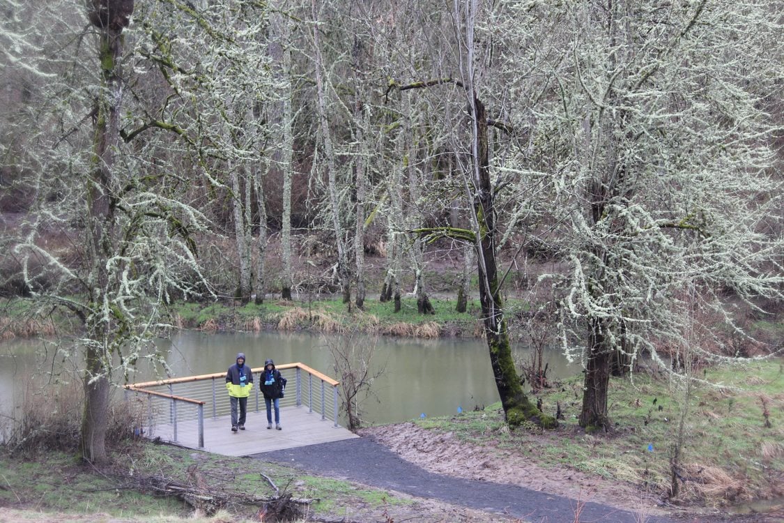 wetlands viewing platform at Orenco Woods Nature Park