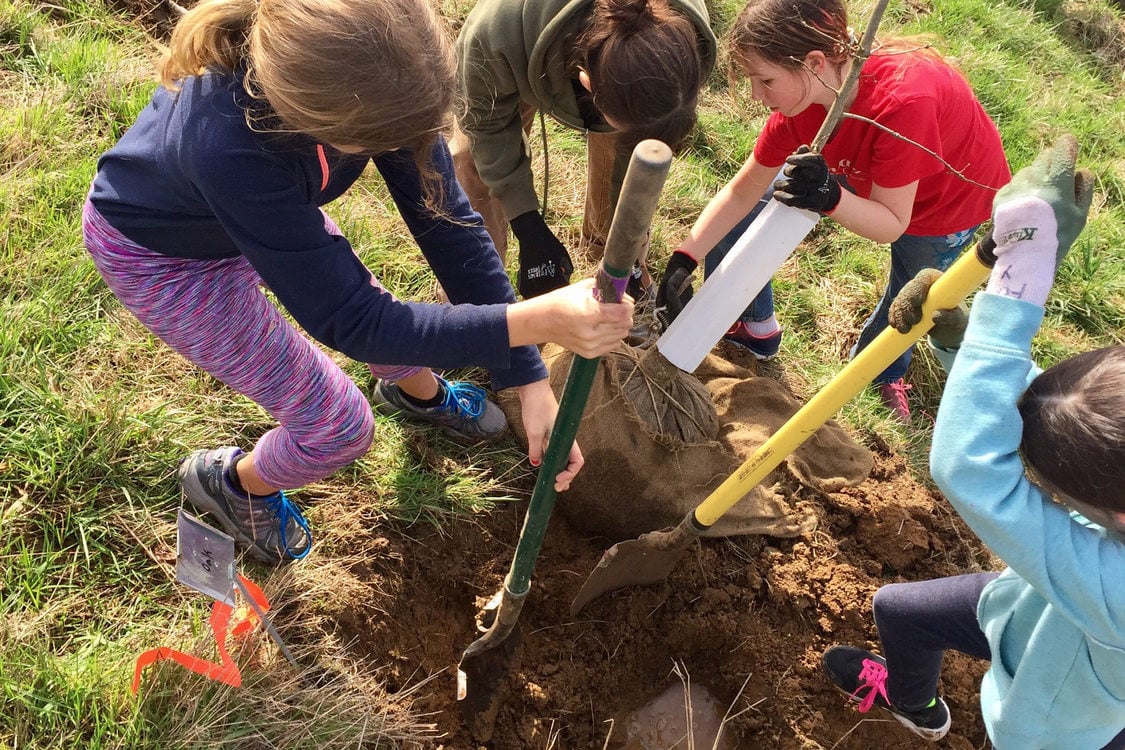 kids plant a tree