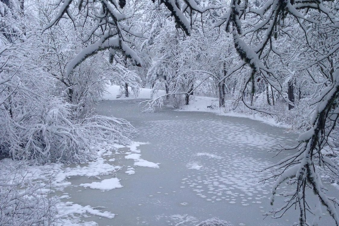 photo of snow and ice in Hillsboro yard