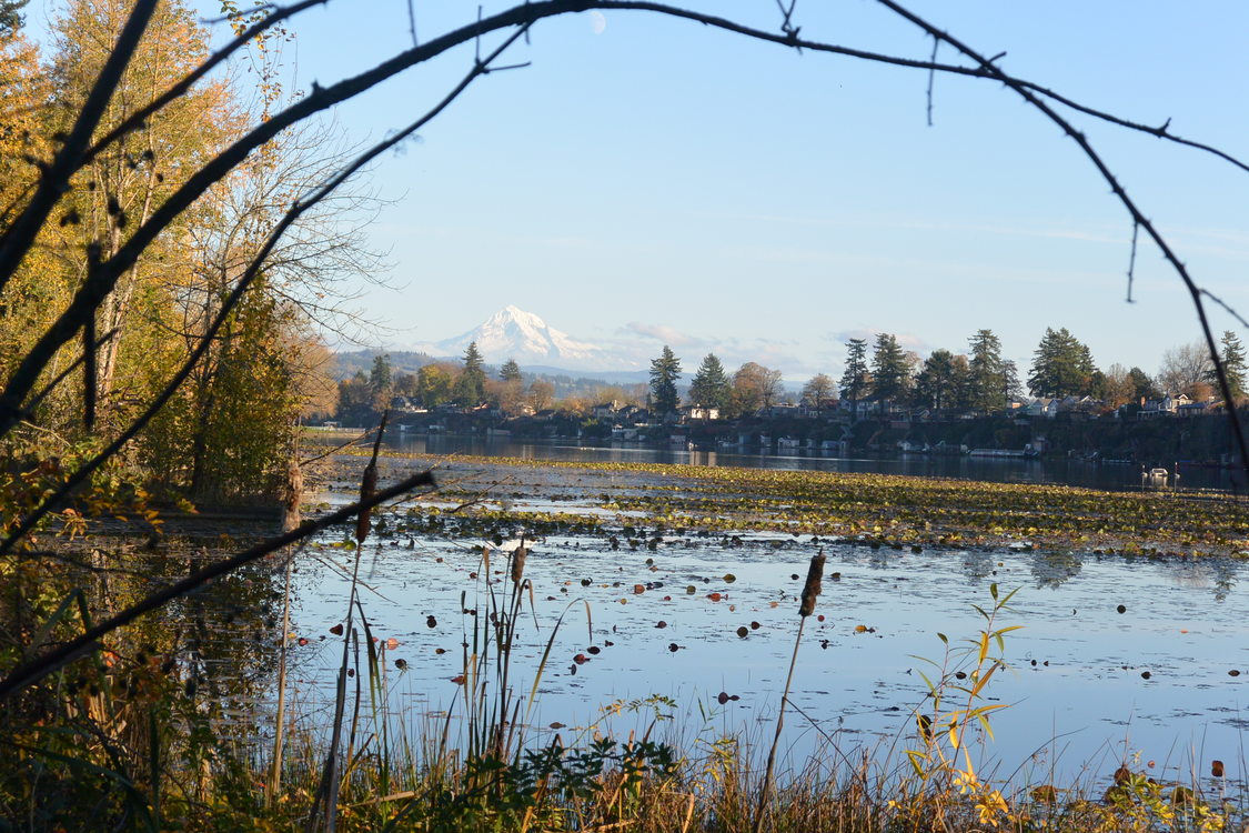 photo of Blue Lake Regional Park