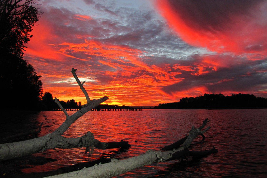 photo of Chinook Landing Marine Park sunset
