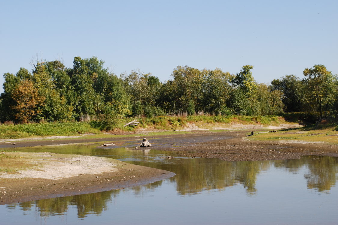 photo of Smith and Bybee Wetlands Natural Area