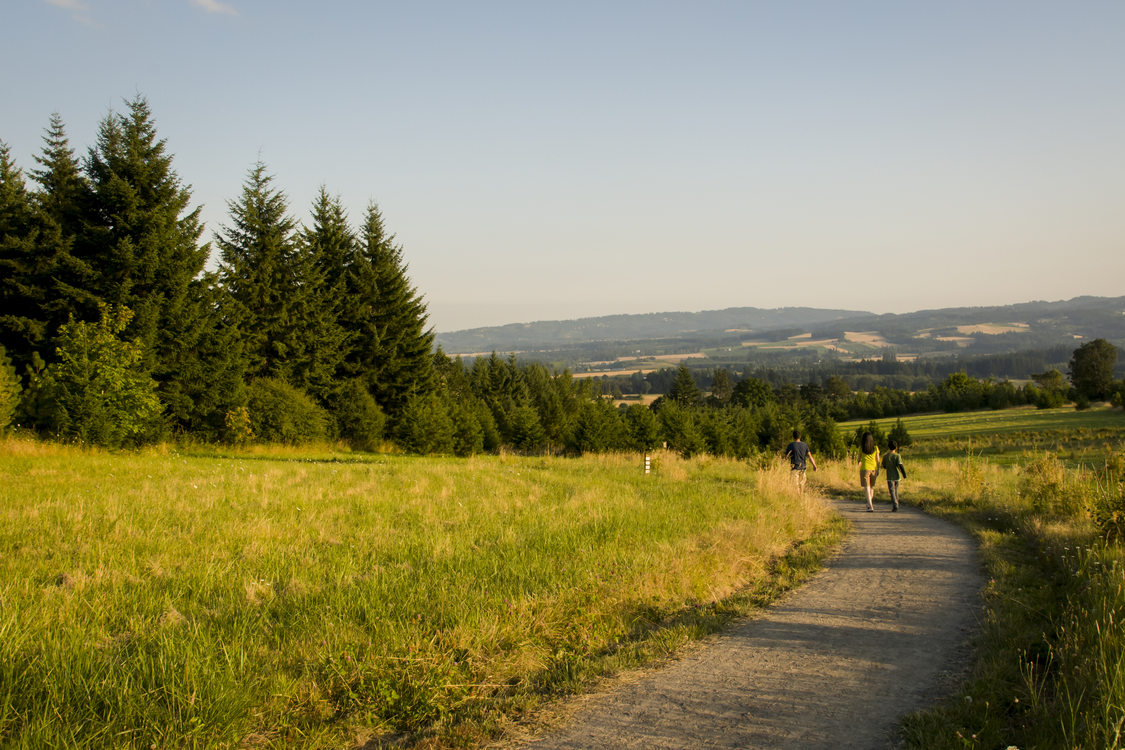 photo of Cooper Mountain Nature Park