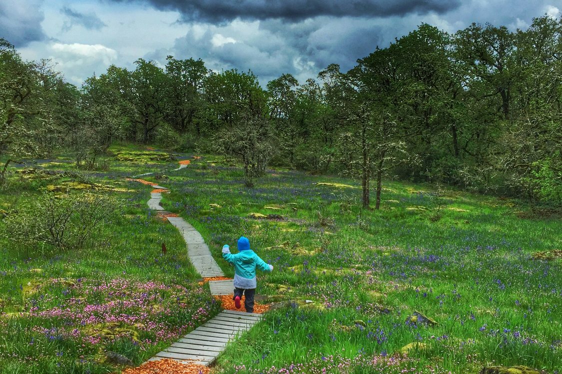 photo of Camassia Natural Area