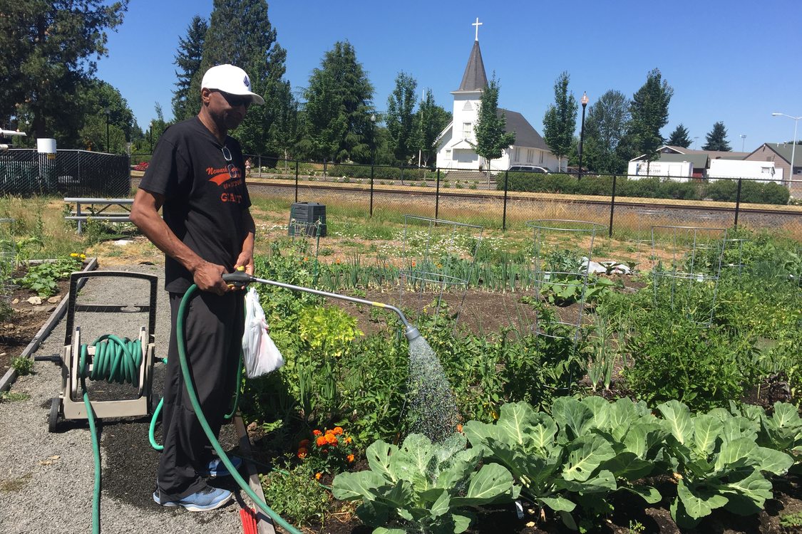 Sherwood garden