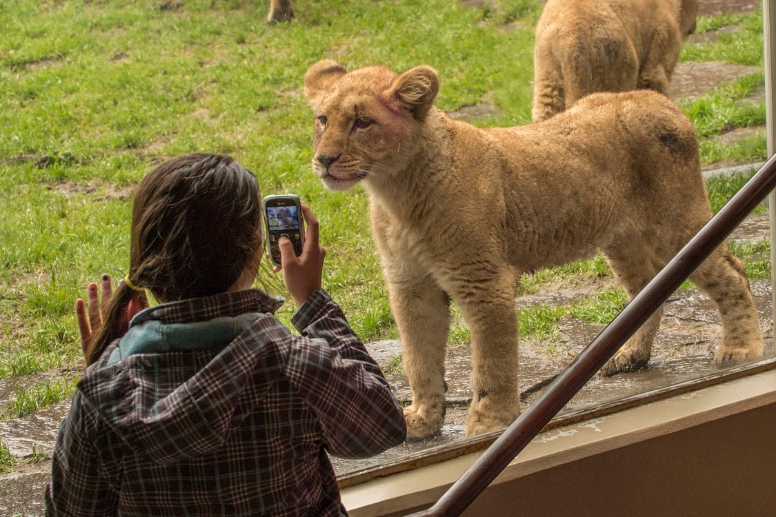 Oregon Zoo And Aquarium