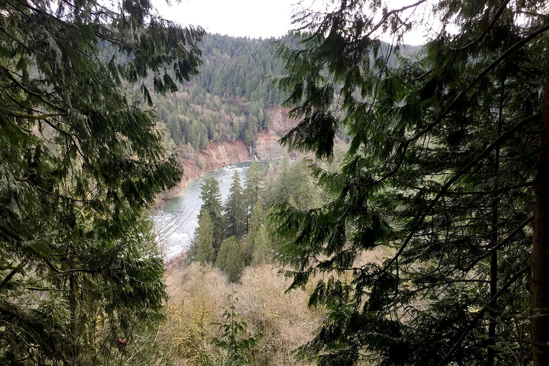 Sandy River viewed from a high perch in a gorge above the river.