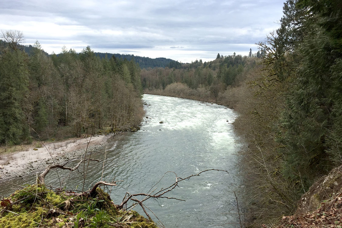 Sandy River flowing through Oxbow Regional Park