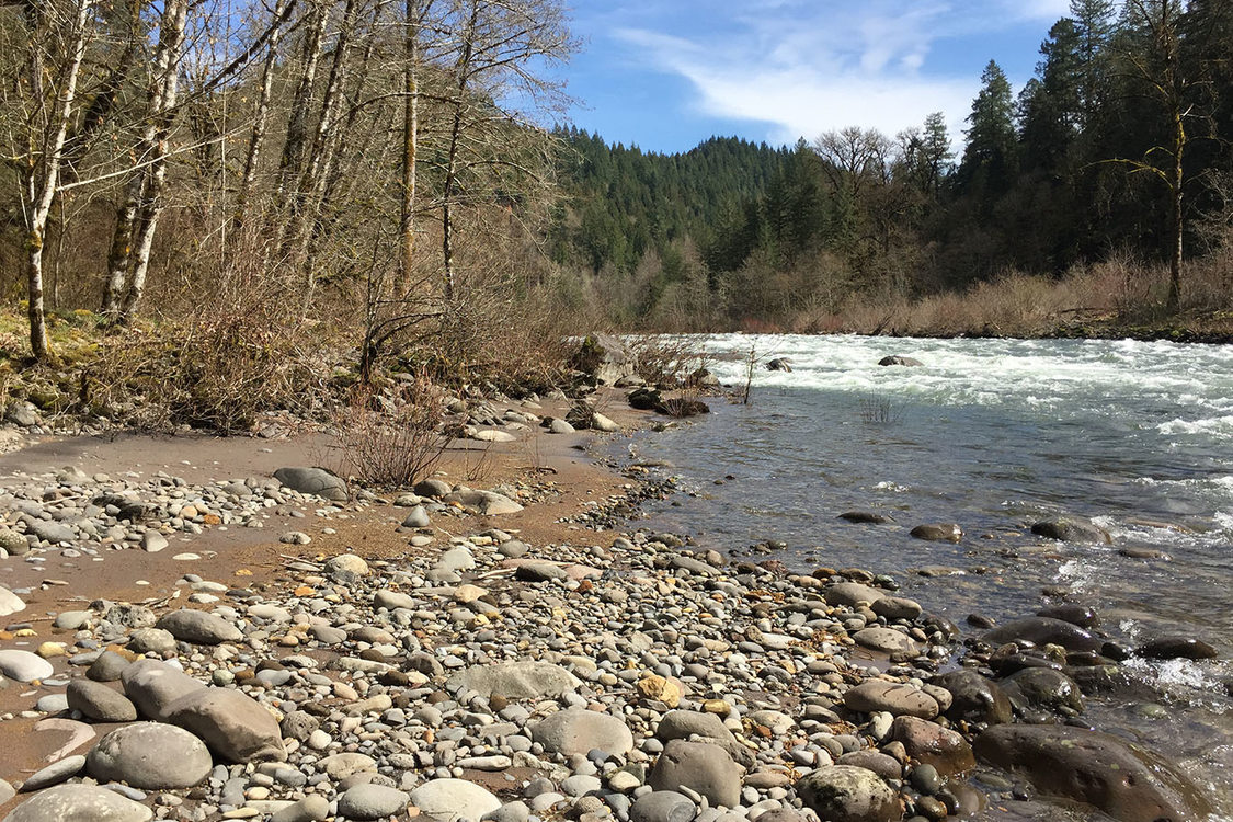rocky banks of the Sandy River