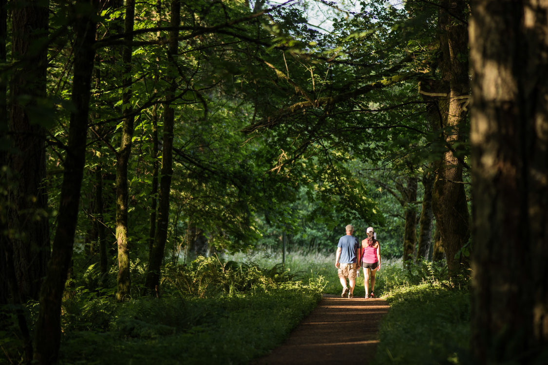 photo of Scouters Mountain Nature Park