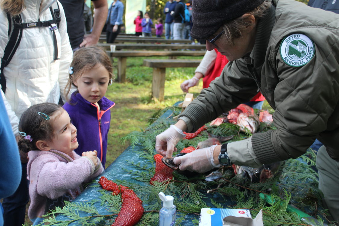 photo of Salmon Homecoming at Oxbow Regional Park