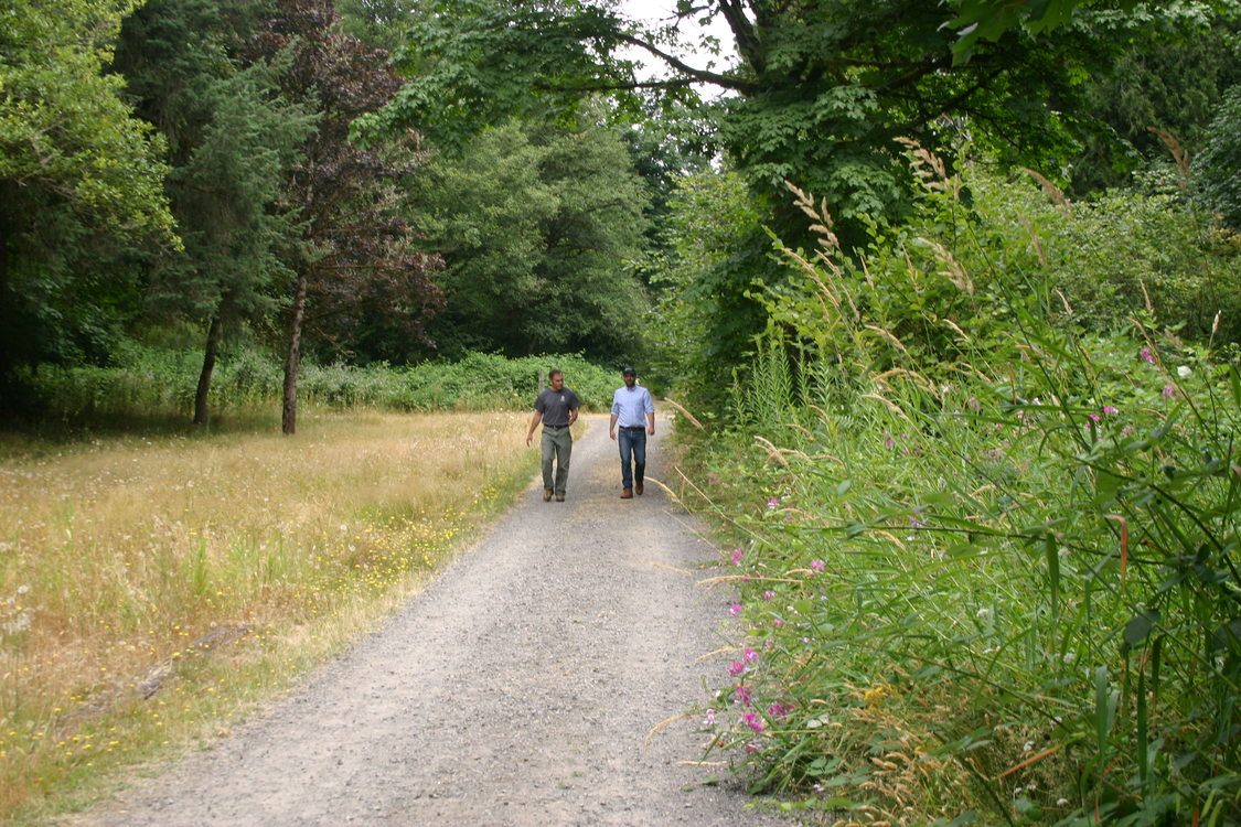 photo of Cazadero Trail along North Fork of Deep Creek