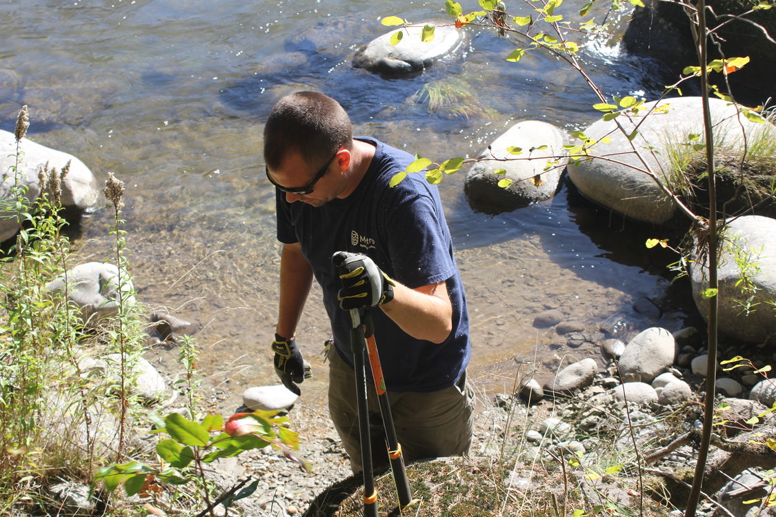 Man with lopper in hand along banks of river.