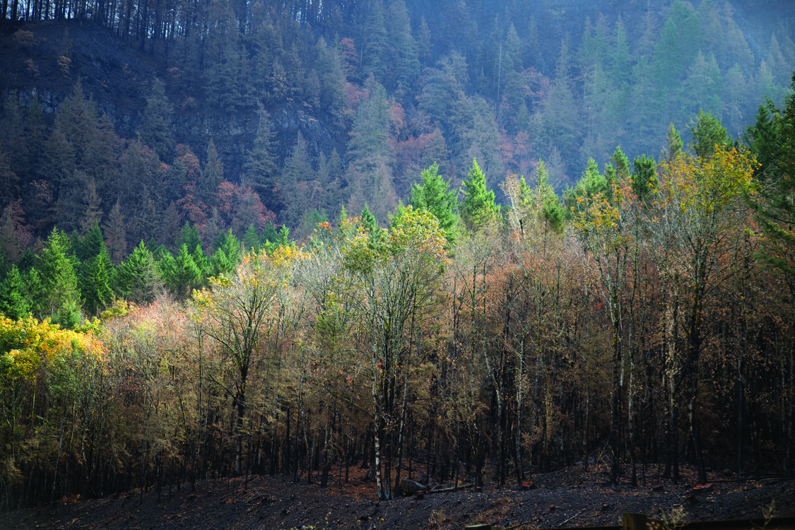 photo of Columbia River Gorge wildfire