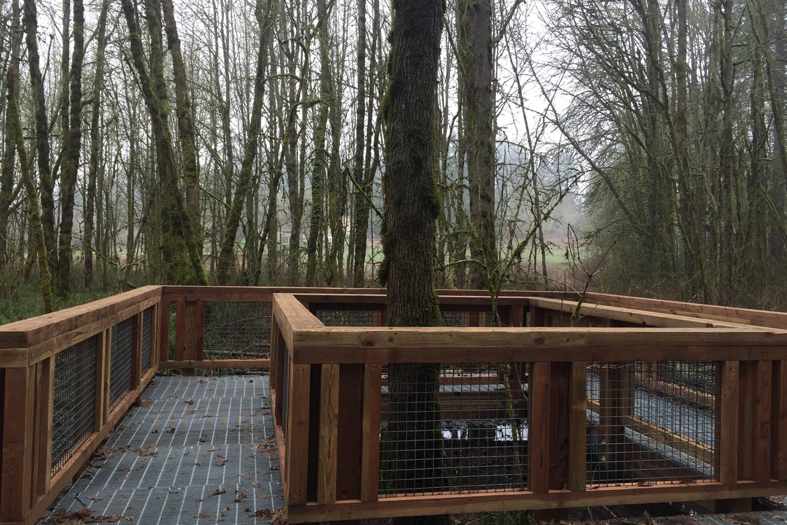 photo of boardwalk at Dirksen Nature Park