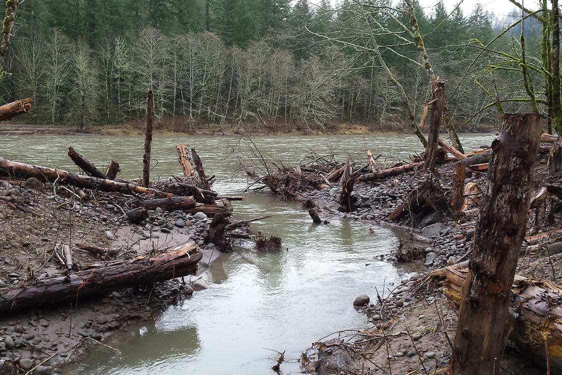A side channel built by Metro to give salmon better habitat on the Sandy River.