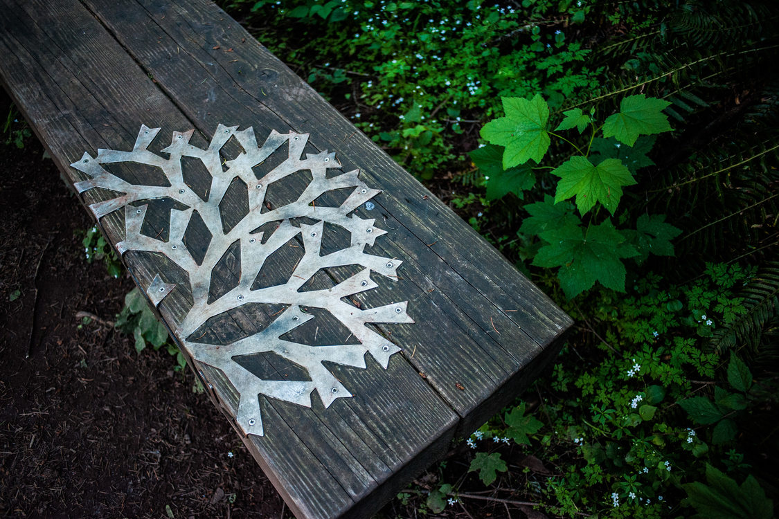 photo of art bench at Scouters Mountain Nature Park with close-up of lichen pattern