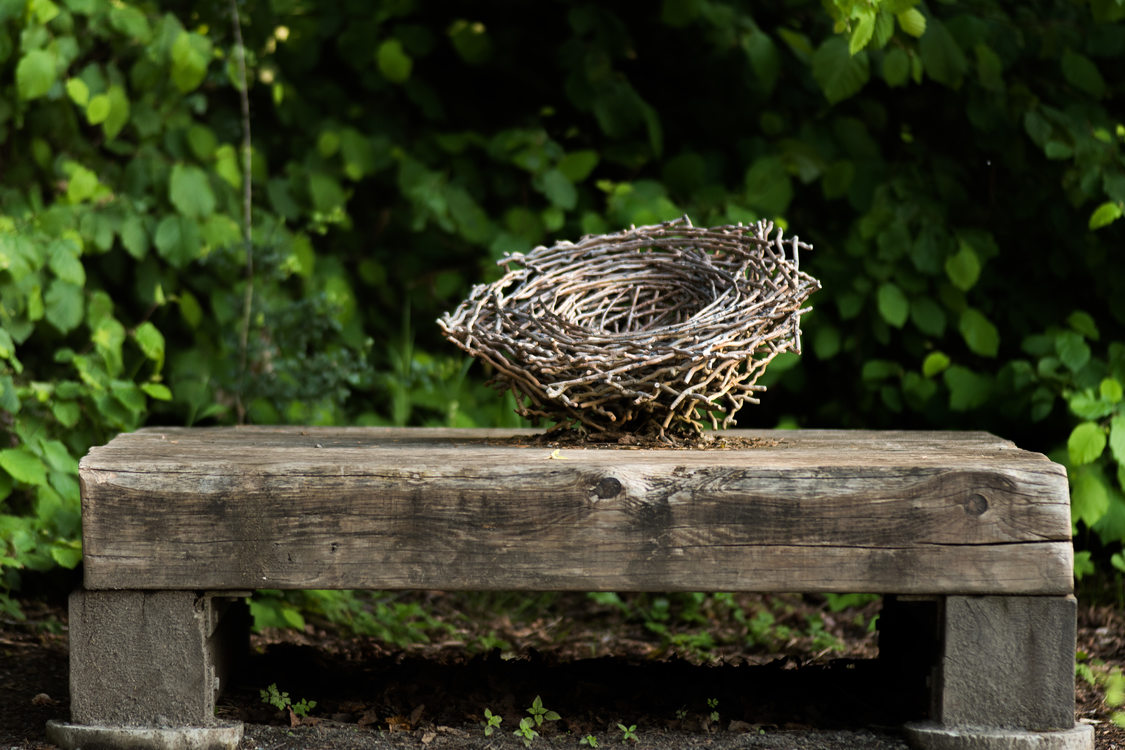 photo of Scouters Mountain art bench with bird nest